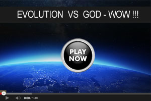 Evolution video2