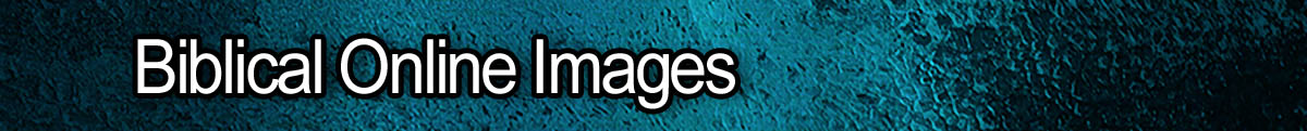Index OnlineImages
