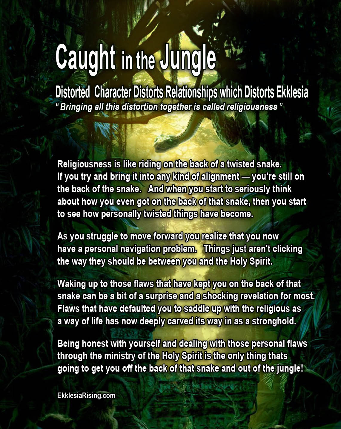 Jungle5
