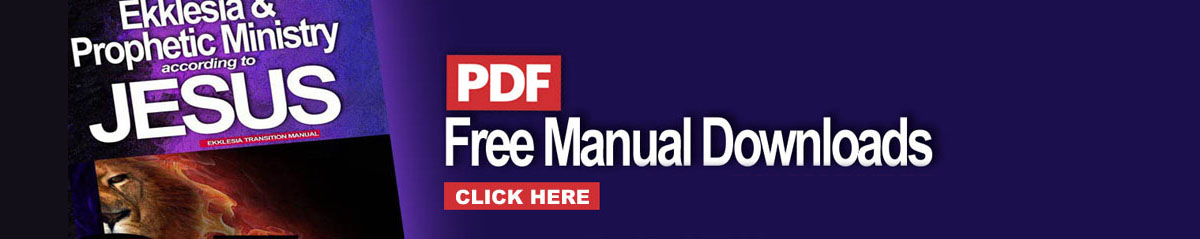 Manual PDFs