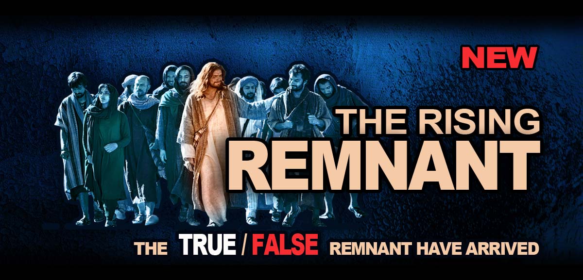 Remnant41