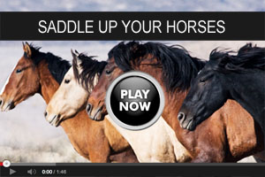 Saddle up horses video