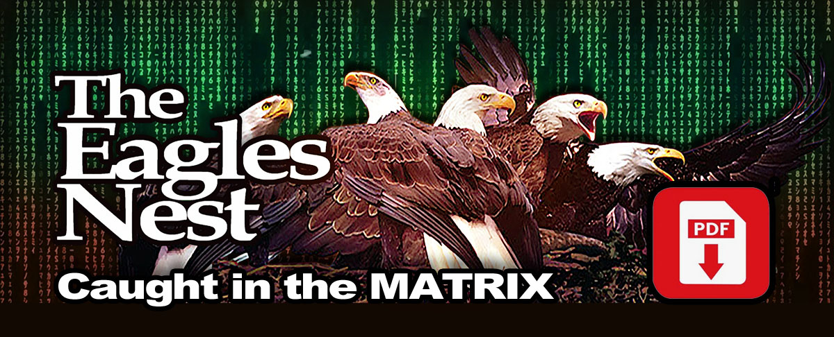 TheEagleNestPDF