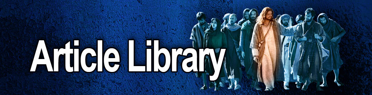 TheLibrary41